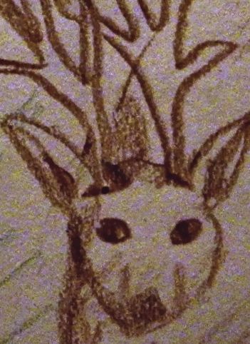 Drawing of a buck